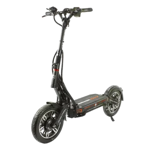 Electric Scooter Dualtron City