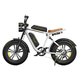 Electric Bike ENGWE M20 Dual