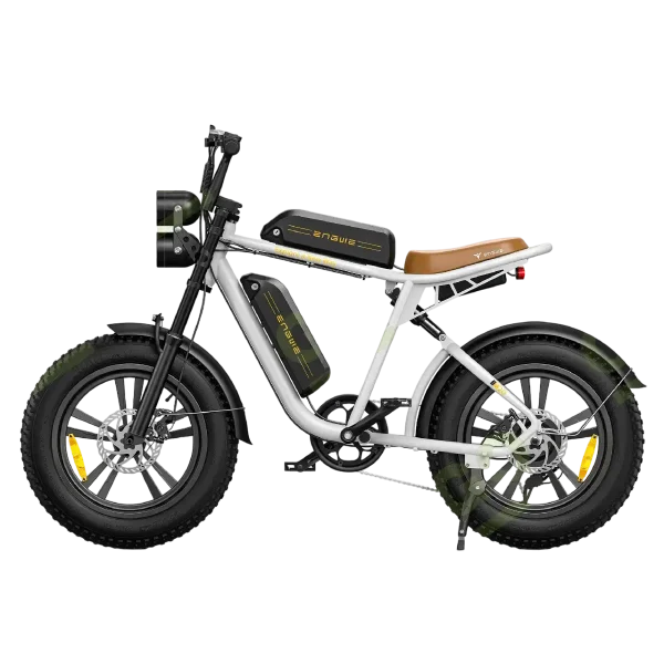 Electric Bike ENGWE M20 Dual