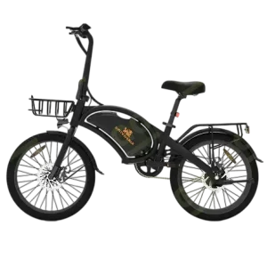 Electric Bike KuKirin V1 PRO